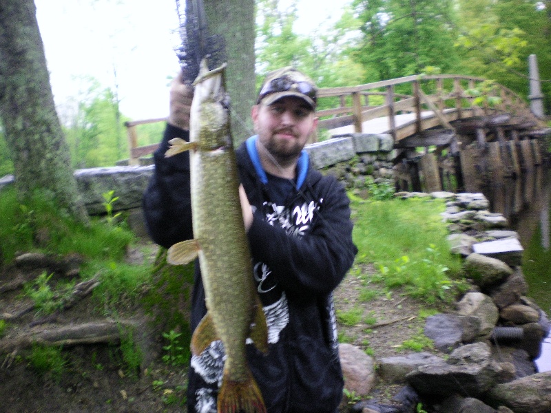 GIANT PICKEREL 5/24/11