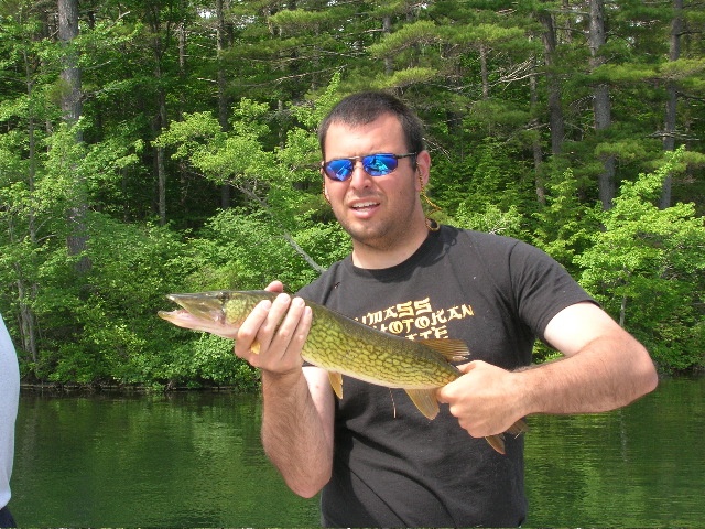 Big Pickerel