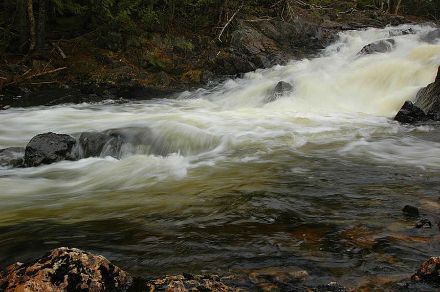 Cathance Stream