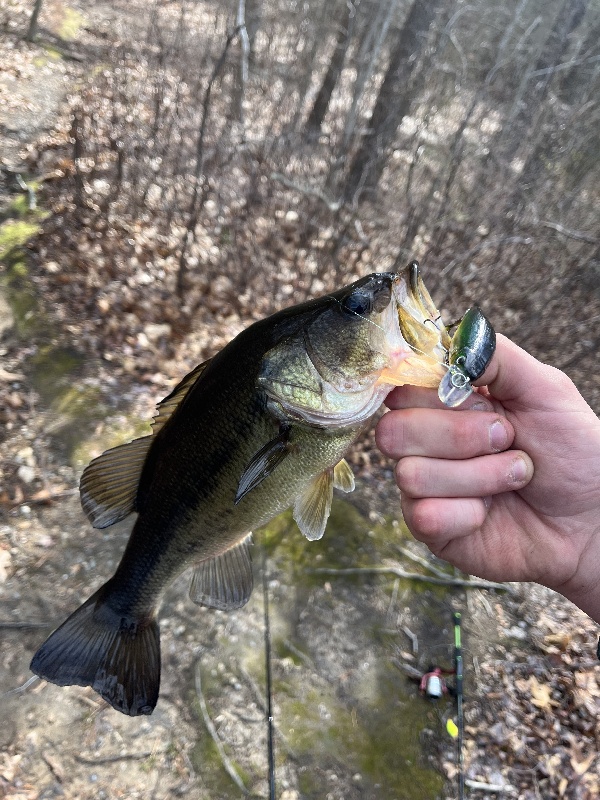 ames nowell fishing