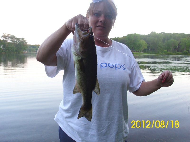 Pickerel Lake- LargeMouth