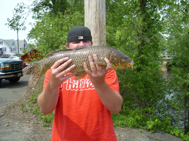 5 pound carp 