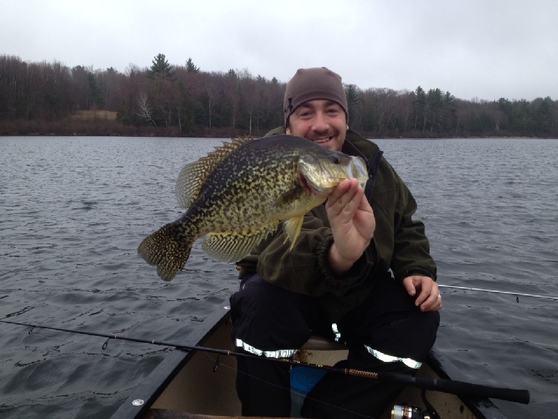 17" Crappie 3.6lb Pic 2