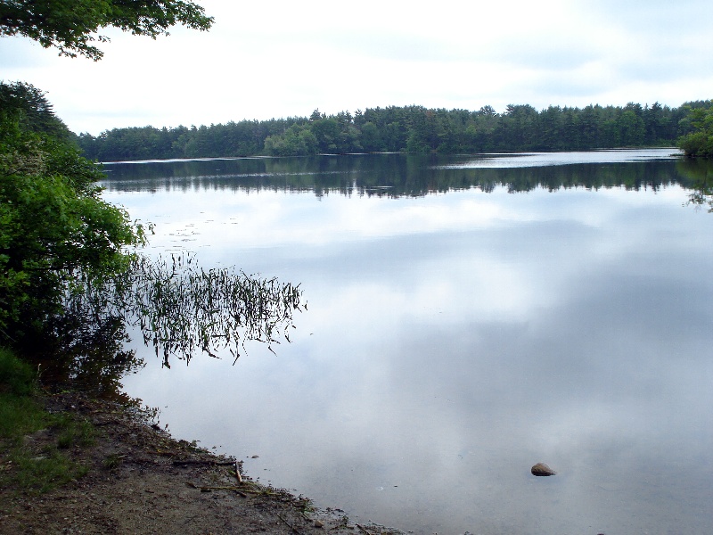 Big Bear Hole Pond